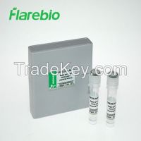 https://jp.tradekey.com/product_view/Alpl-alpl-Antibody-8162714.html