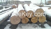 Oak logs 26+ cm ABC Ukraine