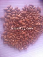 https://fr.tradekey.com/product_view/Badam-Almond-7582692.html