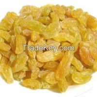 https://www.tradekey.com/product_view/Raisins-7582218.html