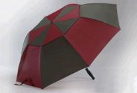 2 Fold Auto Umbrella
