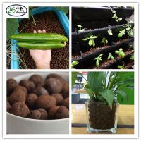 Lightweight Expanded clay / Leca as Medium for Hydroponics/ Agriculture/ Horticulture