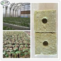 Best Price-Agriculture Rock Wool Cubes
