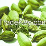 Cardamom