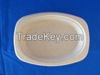 Disposable Madical Tray