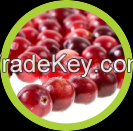 Cranberry