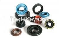 Oil Seal