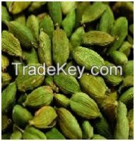 Green Cardamom