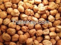 https://ar.tradekey.com/product_view/Chickpea-Beans-7588399.html