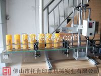 Tk-yg320a Automatic Capping Machine