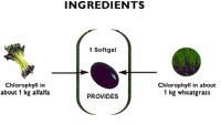 Wheatgrass & Alfalfa