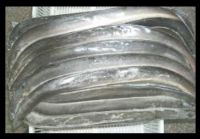 Frozen eels