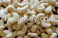 Cashew Nuts Kernel