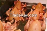 Whole Broiler Halal Chicken Meat & Eggs