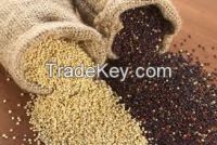 Quinoa Grain (White, Red, Black)