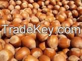 Hazelnuts