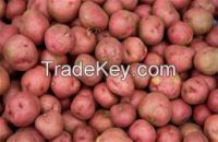 https://es.tradekey.com/product_view/Caritinal-Potato-7662087.html