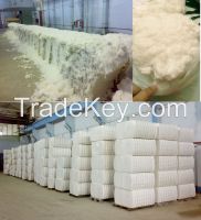 Cellulose cotton