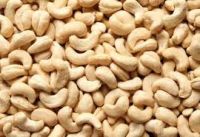 CASHEW NUTS