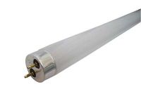 Fluorescent Lamp