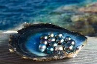 Tahitian Black Pearls available for sale - Grade AAA For sale