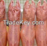 clean lamb meat, goats meat, mutton carcass