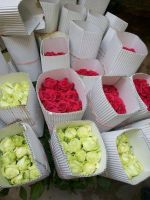 Rose, Carnation, Gerbera, Gladioli, Tuberose