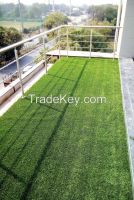 Artificial Grass