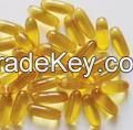 Evening Primrose Oil Capsules