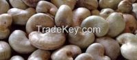 Raw  Cashew Nuts