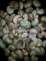 RAW CASHEW NUT