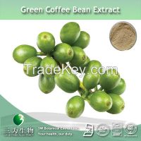 Green coffee bean Extract( 50% Chlorogenic Acid ) Good For Weight Loss 