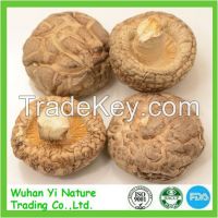 China Bulk Dried Flower Shiitake Mushroom