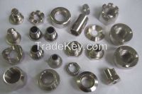 Non-Standard Fasteners (Nuts, Bolts, Screws, Washers)