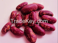 kidney beans