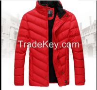 2015 lastest padded 100% polyester winter mens cotton-padded clothes
