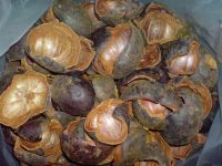 Dried mangosteen shell( contain garcinia mangosteen)