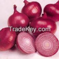 Fresh onions