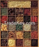 spices