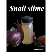 Snail Slime