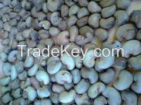 Raw Cashew Nuts