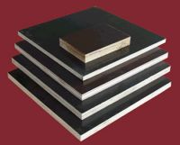 Sell  film faced plywood at competitive price