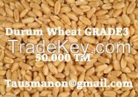 Durum Wheat GRADE3