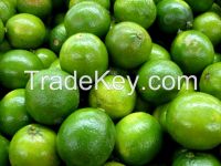 Persian Limes