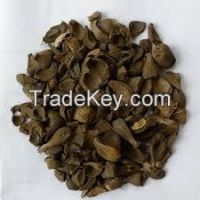 Palm Kernel Shell