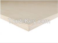 Birch Plywood with BB Grade
