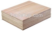 Agathis Faced Plywood, Hot Selling! !
