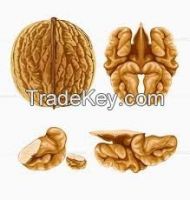 Walnut kernels