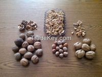 Walnuts Hazelnuts from Poland Ukraine