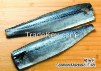 frozen Spanish mackerel fillet